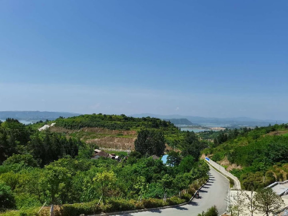 園區(qū)實(shí)景3